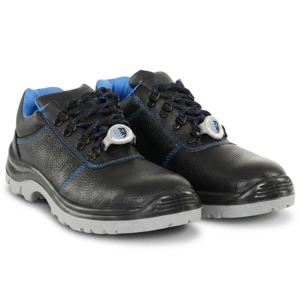 Safewell Astra DD Industrial Safety Shoes
